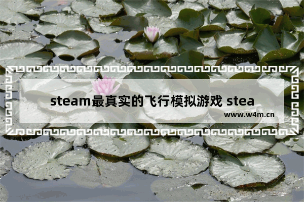 steam最真实的飞行模拟游戏 steam上模拟游戏推荐