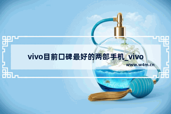 vivo目前口碑最好的两部手机_vivo手机排行榜前十名2022