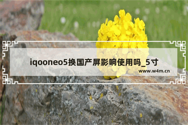 iqooneo5换国产屏影响使用吗_5寸左右国产手机推荐排行榜最新