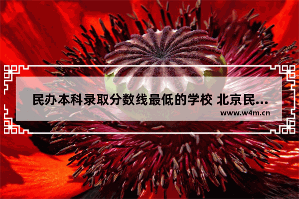 民办本科录取分数线最低的学校 北京民办高中高考分数线