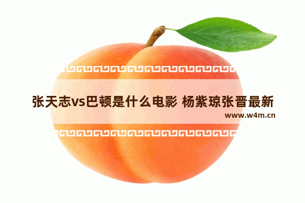 张天志vs巴顿是什么电影 杨紫琼张晋最新电影叫什么