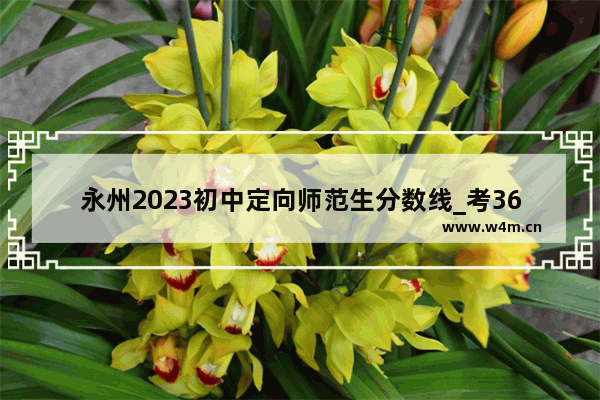 永州2023初中定向师范生分数线_考361分能报师范学校吗