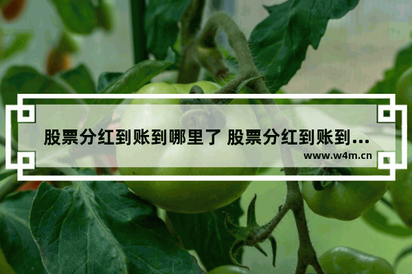 股票分红到账到哪里了 股票分红到账到哪里了