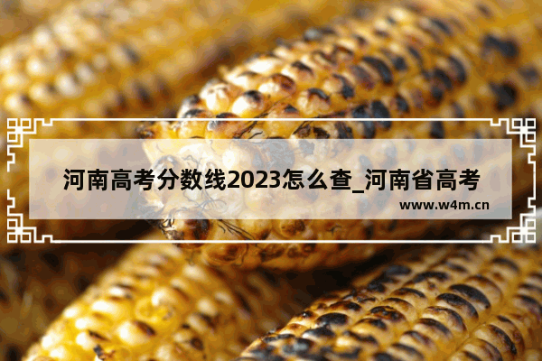 河南高考分数线2023怎么查_河南省高考分数查询方法