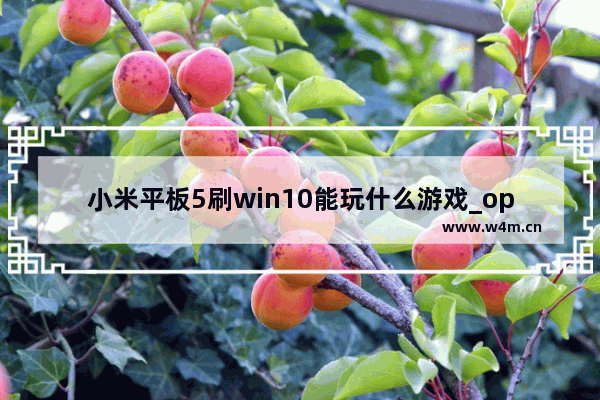 小米平板5刷win10能玩什么游戏_oppo手机怎么改平板比例玩和平精英