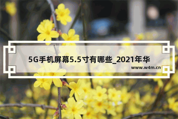 5G手机屏幕5.5寸有哪些_2021年华为有5寸手机吗