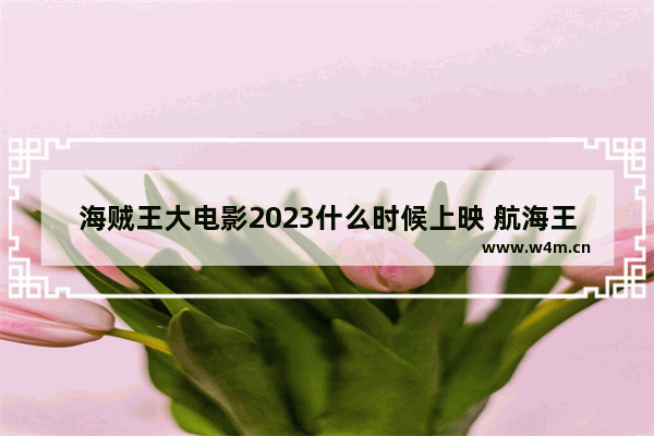 海贼王大电影2023什么时候上映 航海王最新电影什么时候结束播出