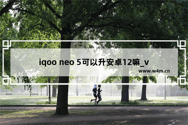 iqoo neo 5可以升安卓12嘛_vivo iqoo neo5什么时候升级安卓12