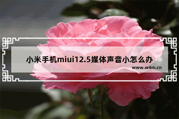 小米手机miui12.5媒体声音小怎么办 5寸手机推荐小米