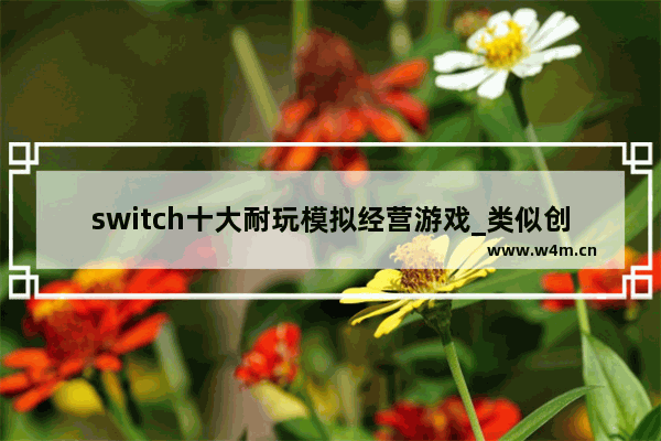 switch十大耐玩模拟经营游戏_类似创造与魔法的电脑游戏