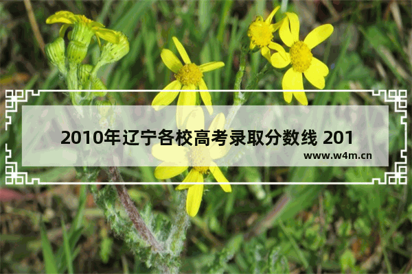 2010年辽宁各校高考录取分数线 2010年高考分数线体育