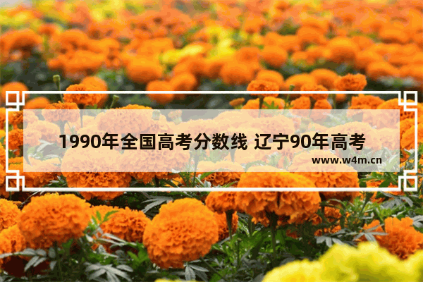 1990年全国高考分数线 辽宁90年高考分数线