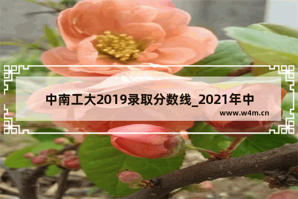 中南工大2019录取分数线_2021年中南大学录取分数线