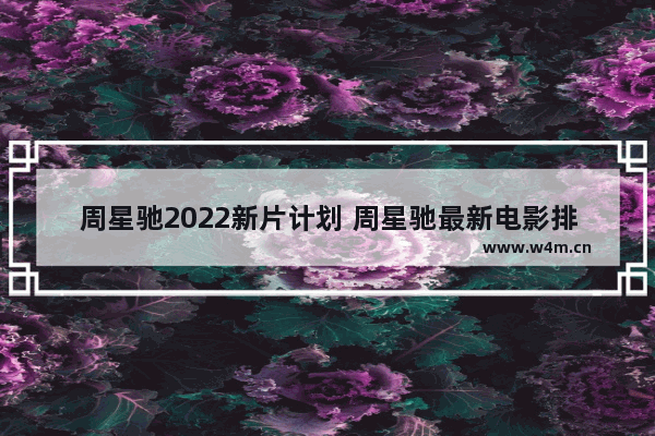 周星驰2022新片计划 周星驰最新电影排名前十名有哪些名字呢