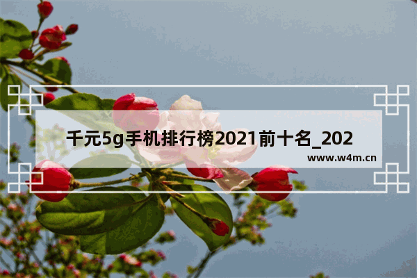 千元5g手机排行榜2021前十名_2021千元5g手机排行