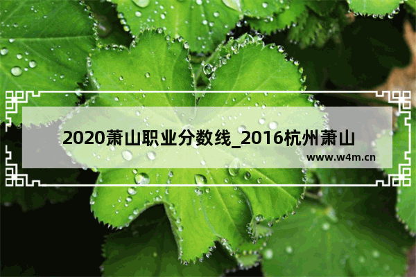 2020萧山职业分数线_2016杭州萧山中考分数线