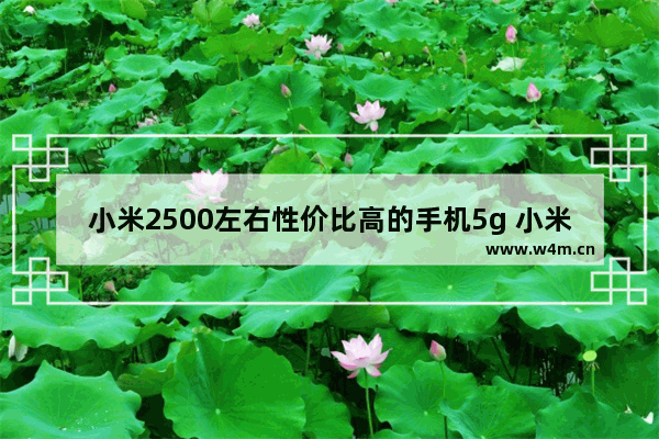 小米2500左右性价比高的手机5g 小米手机推荐性价比高两千五左右