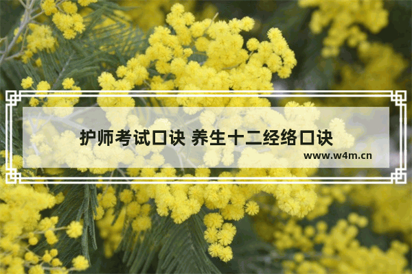 护师考试口诀 养生十二经络口诀