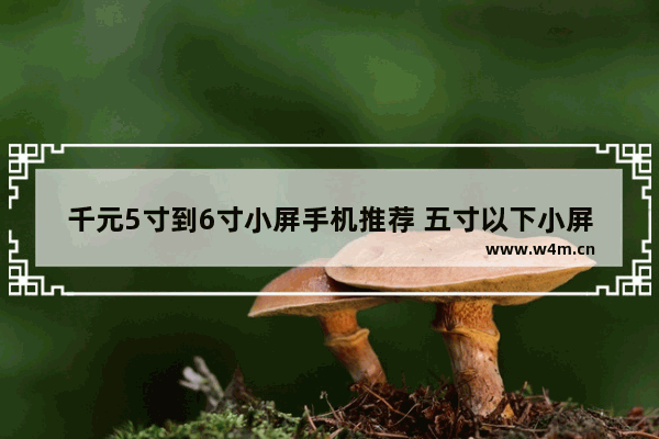 千元5寸到6寸小屏手机推荐 五寸以下小屏手机推荐哪款