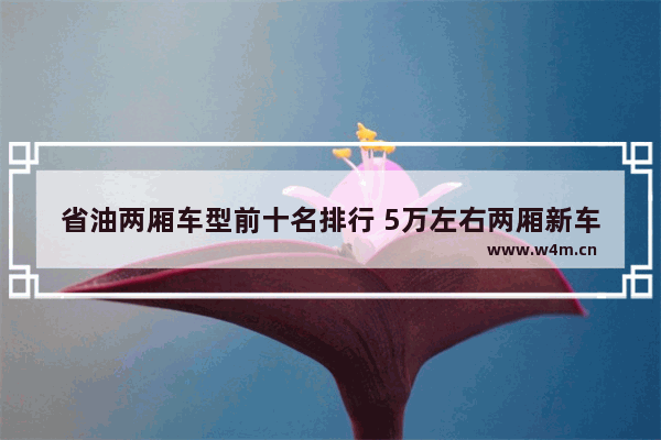 省油两厢车型前十名排行 5万左右两厢新车推荐哪款车好一点耐用