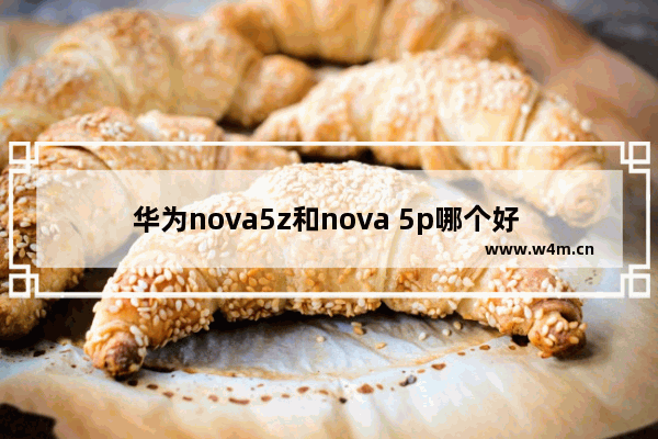 华为nova5z和nova 5p哪个好 5寸安卓手机推荐