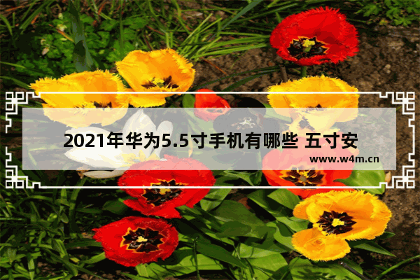 2021年华为5.5寸手机有哪些 五寸安卓手机推荐哪款