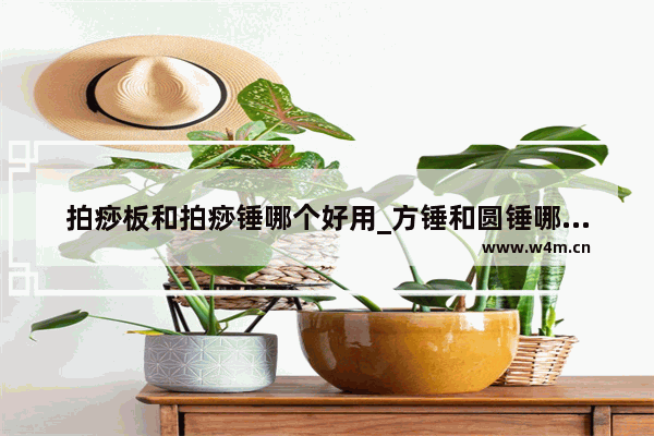 拍痧板和拍痧锤哪个好用_方锤和圆锤哪个实用