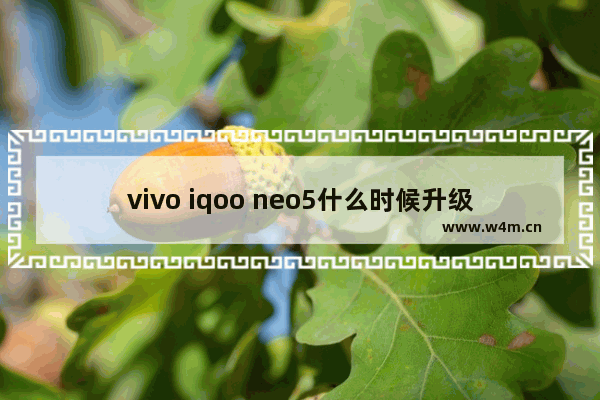 vivo iqoo neo5什么时候升级安卓12 5英寸以下安卓手机推荐