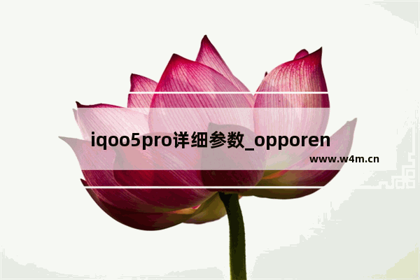 iqoo5pro详细参数_opporeno5是双层主板吗