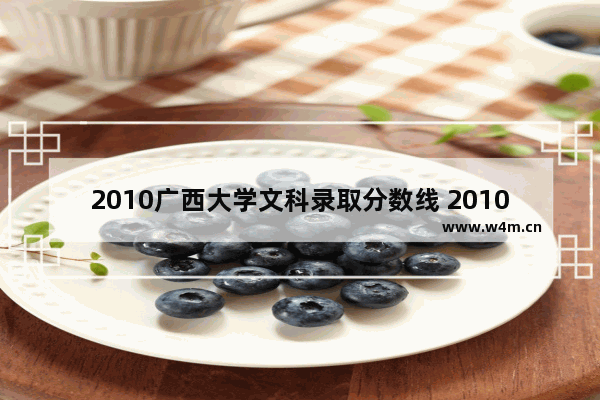 2010广西大学文科录取分数线 2010年高考分数线广西