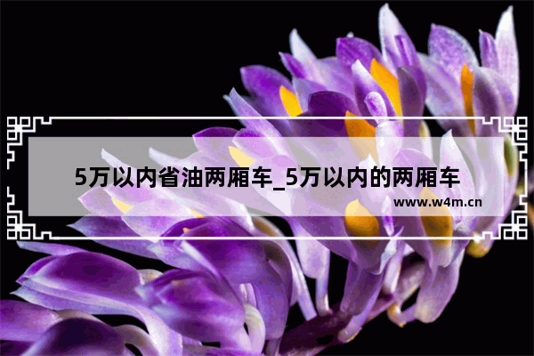 5万以内省油两厢车_5万以内的两厢车