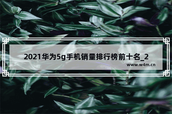 2021华为5g手机销量排行榜前十名_2021年华为5g手机2500元左右价格的哪款手机好