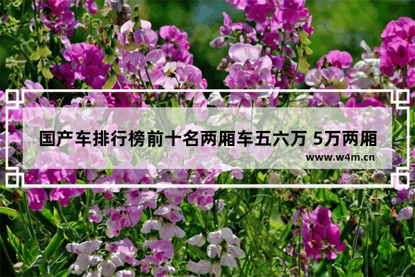 国产车排行榜前十名两厢车五六万 5万两厢车新车推荐一下车型有哪些款