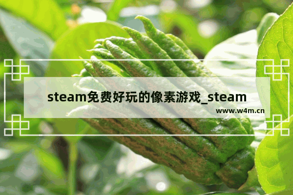 steam免费好玩的像素游戏_steam有什么好玩的像素游戏