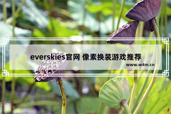 everskies官网 像素换装游戏推荐女生