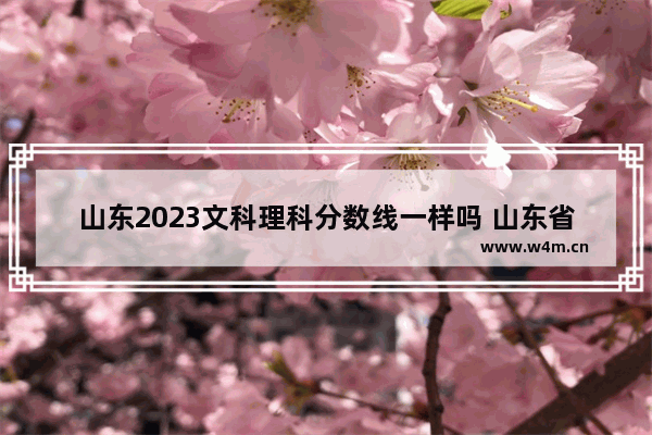 山东2023文科理科分数线一样吗 山东省各县高考分数线