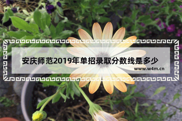 安庆师范2019年单招录取分数线是多少 2019年高考分数线安庆