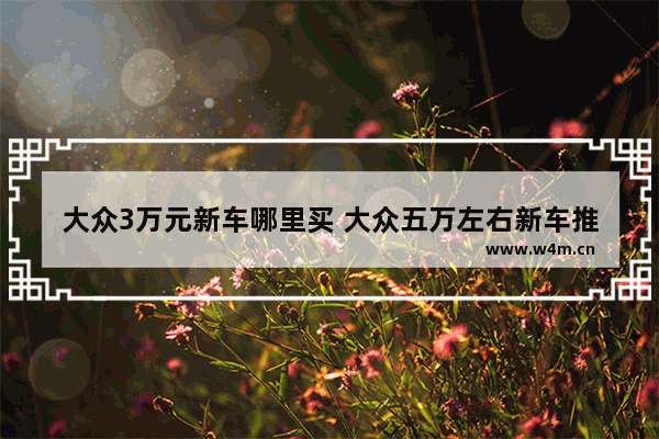大众3万元新车哪里买 大众五万左右新车推荐哪款车型好看一点