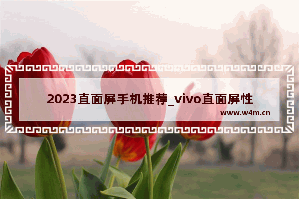 2023直面屏手机推荐_vivo直面屏性价比最好的一款