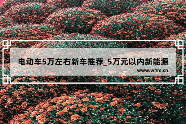 电动车5万左右新车推荐_5万元以内新能源电动车推荐