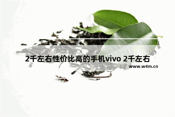 2千左右性价比高的手机vivo 2千左右vivo手机推荐