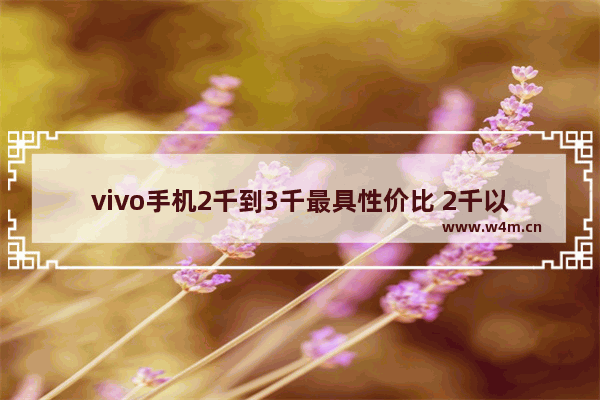 vivo手机2千到3千最具性价比 2千以上vivo手机推荐