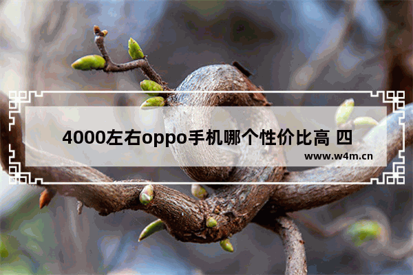 4000左右oppo手机哪个性价比高 四千手机推荐女孩子