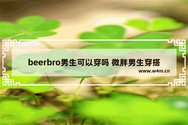 beerbro男生可以穿吗 微胖男生穿搭冬季美式搭配