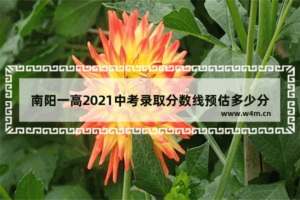 南阳一高2021中考录取分数线预估多少分 南阳2021年高考分数线