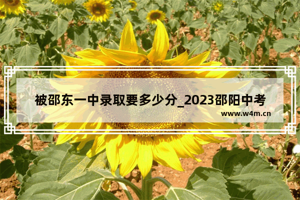 被邵东一中录取要多少分_2023邵阳中考各校录取分数线