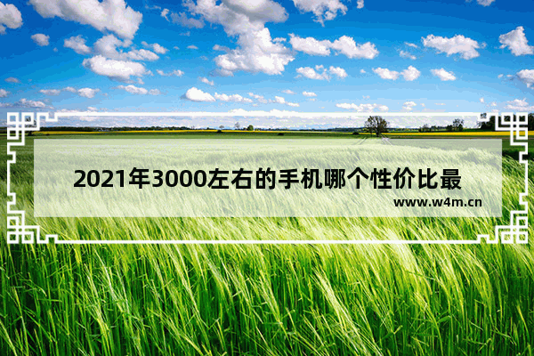 2021年3000左右的手机哪个性价比最高_2500到3000的手机性价比排行榜