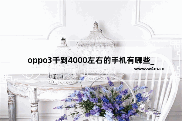 oppo3千到4000左右的手机有哪些_三千毫安的手机可以用多久