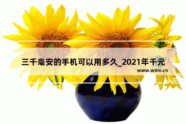 三千毫安的手机可以用多久_2021年千元手机销量排行榜