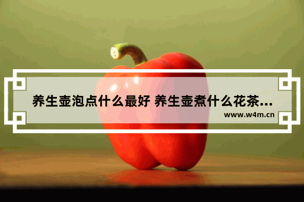 养生壶泡点什么最好 养生壶煮什么花茶食谱